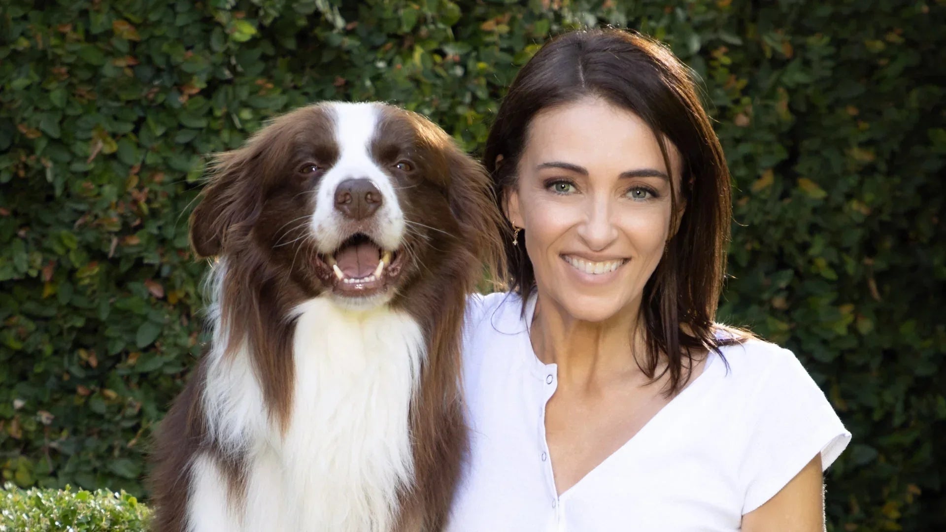 Helping Your Dog Age Well: Early Signs of Joint Pain and What You Can Do