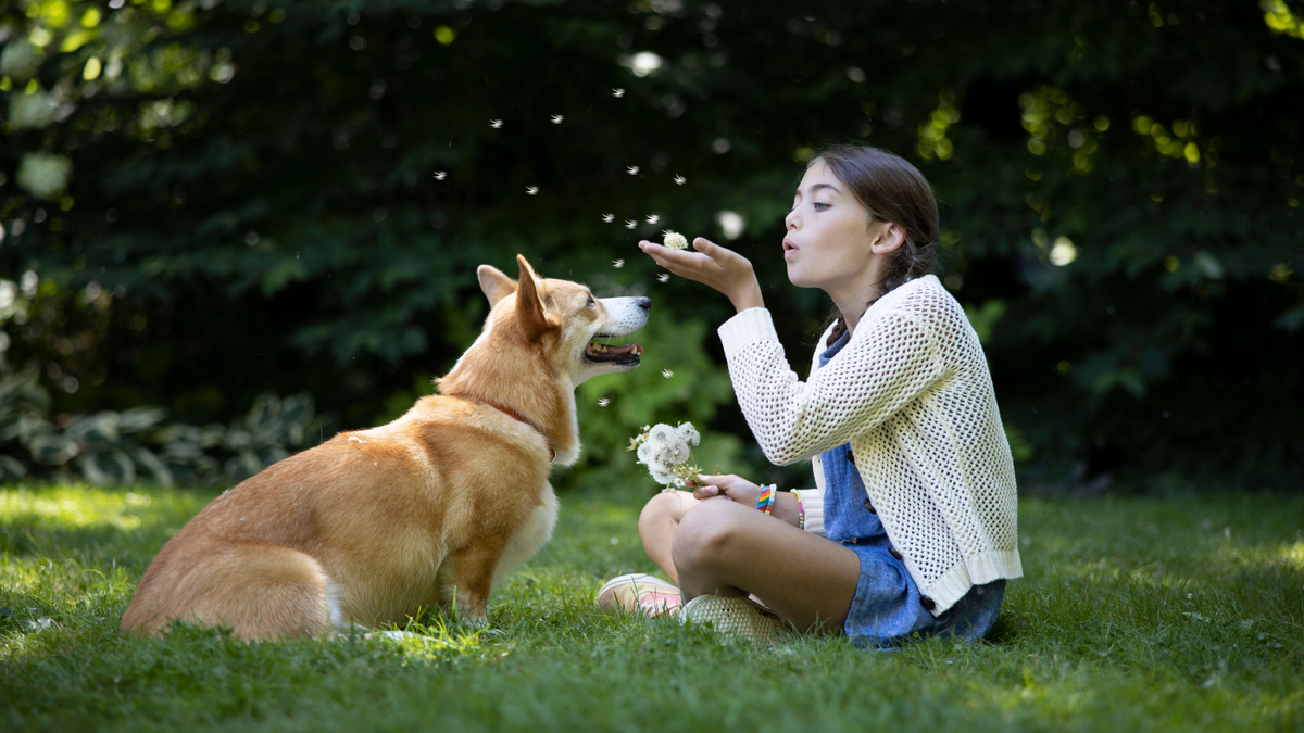 The Reason Why Omega-3 is Awesome for Your Pet