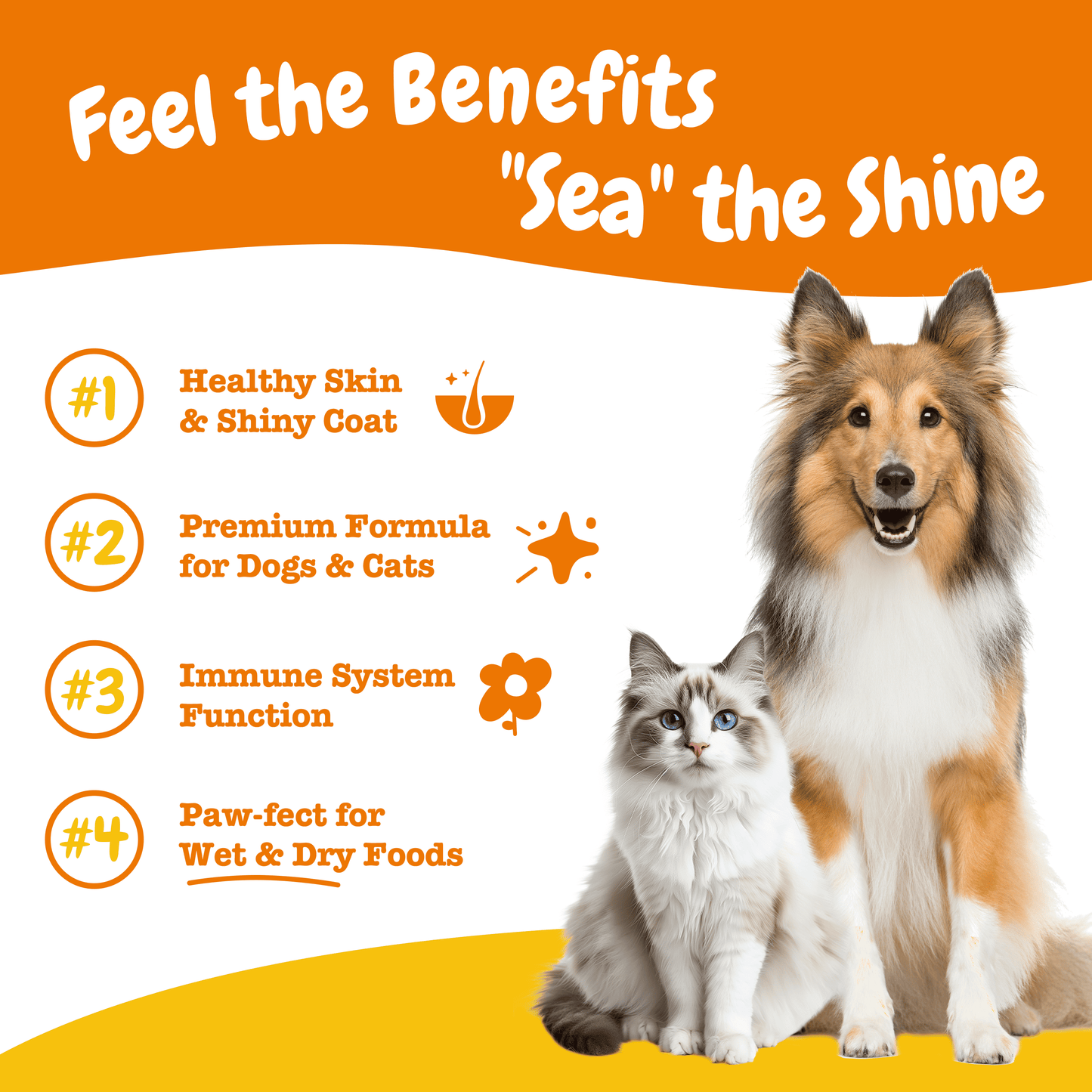 Season Of Care Bundle for Dogs