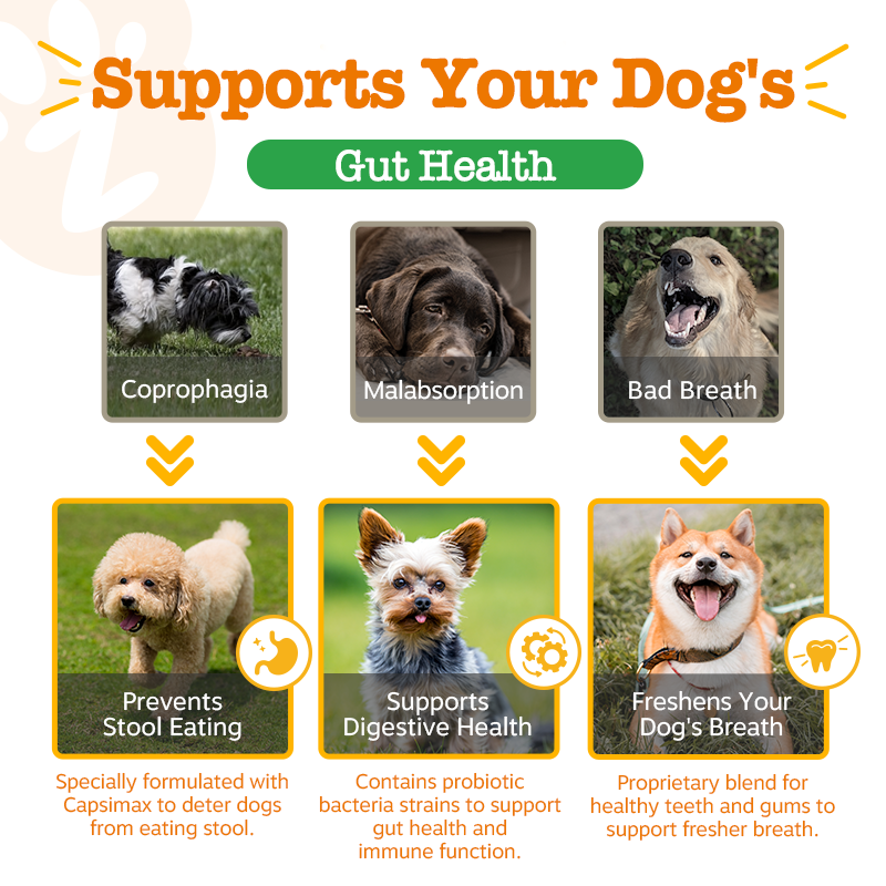 Manner Care Bundle (Chew No Poo Bites + Allergy & Immune Bites)