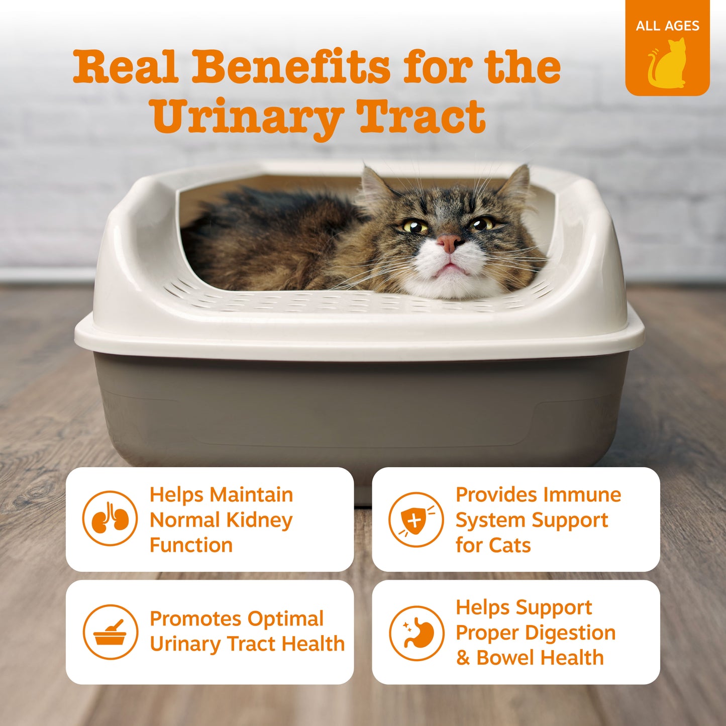 Urinary Defense Bundle Cat Mousse Supplement (8-in-1 Multivitamin & Urinary Tract)