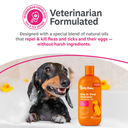 Flea & Tick Shampoo