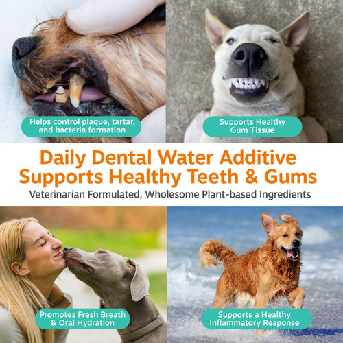 Daily Dental Water Additive