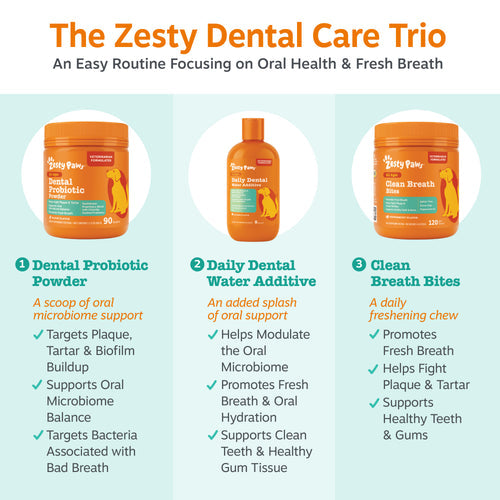 Dental Probiotic Powder