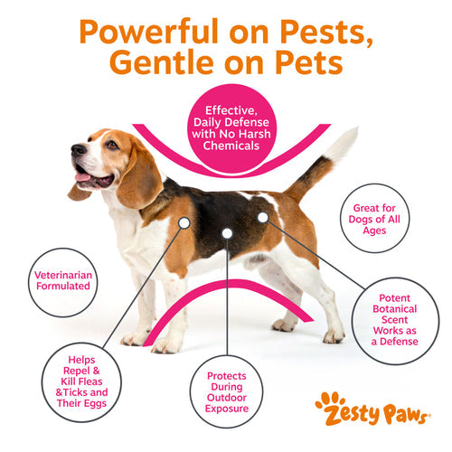 Flea & Tick Spray