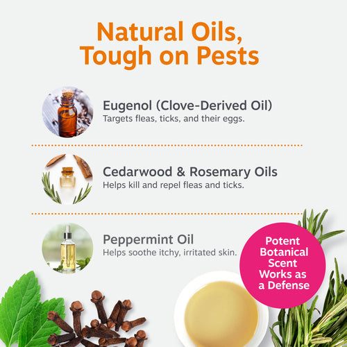 Flea & Tick Spray