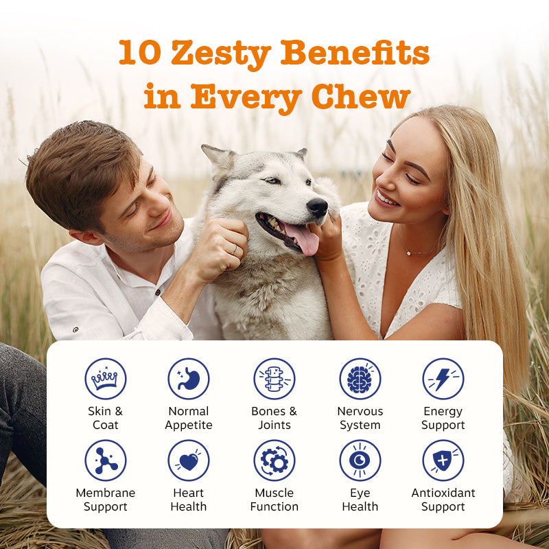 Advanced Chews Discovery 3 Sachet Pack