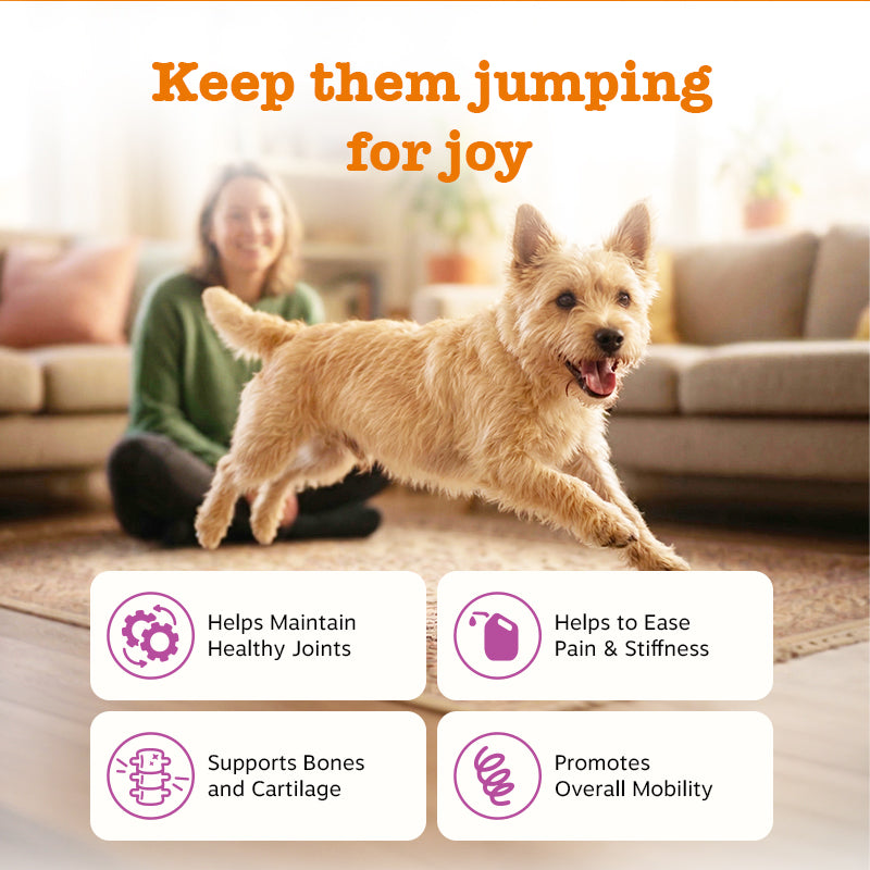 Hip & Joint Chews