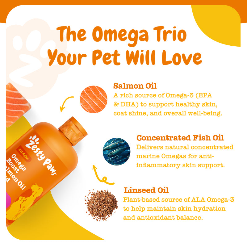 Omega Boost Salmon Oil Blend 250ML (3× more Salmon Oil)