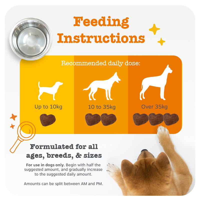 Pre, Post & Probiotic Chews