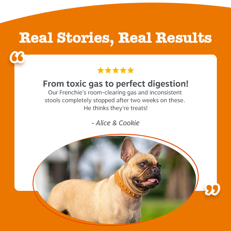 Pre, Post & Probiotic Chews