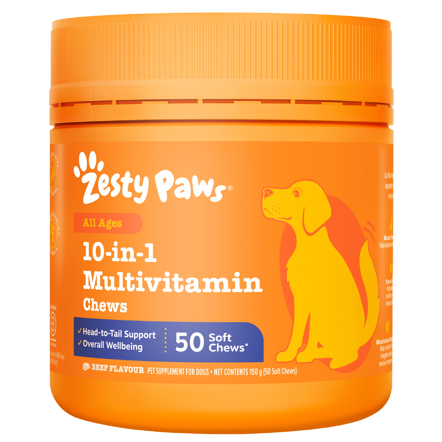 10-in-1 Multivitamin Chews