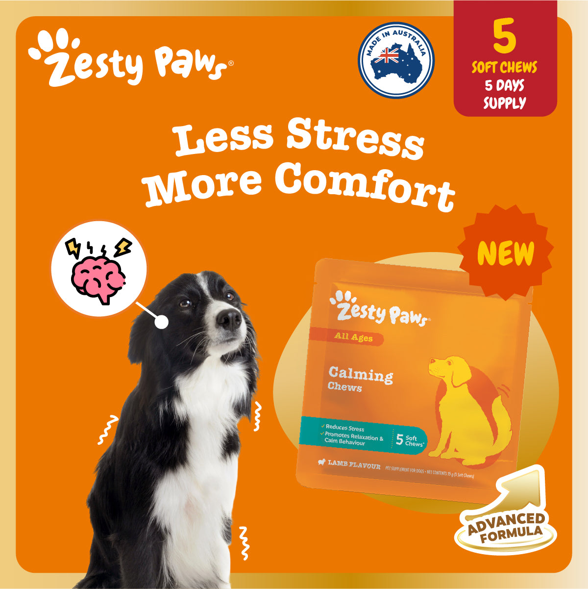 Zesty Paws Advanced Chews Sample Sachet, Dog Supplement 5ct