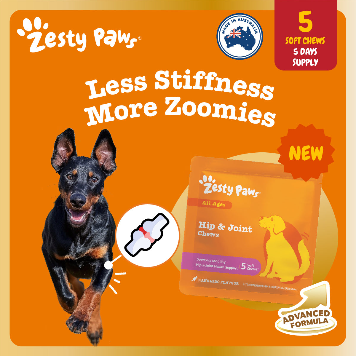 Zesty Paws Advanced Chews Sample Sachet, Dog Supplement 5ct