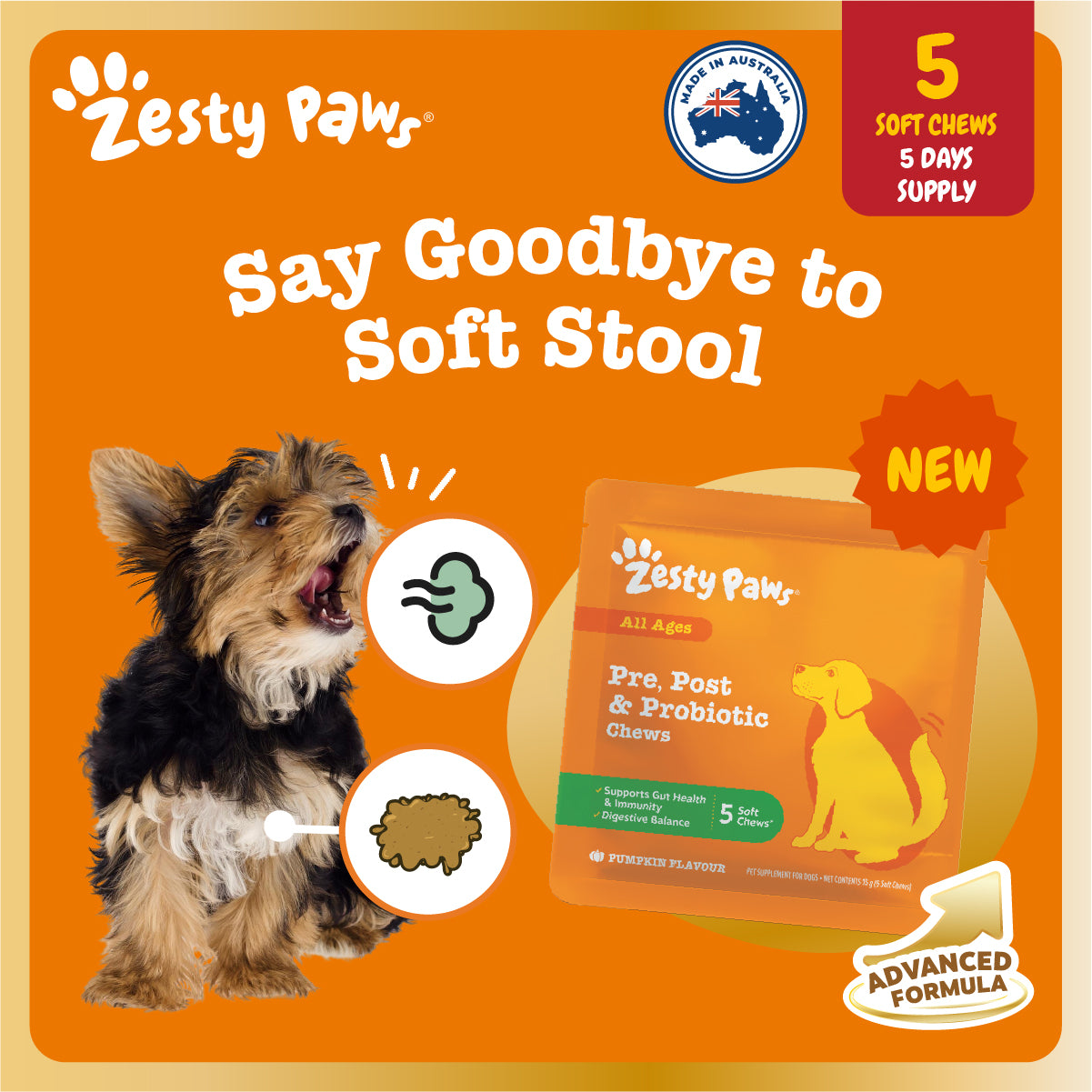 Zesty Paws Advanced Chews Sample Sachet, Dog Supplement 5ct