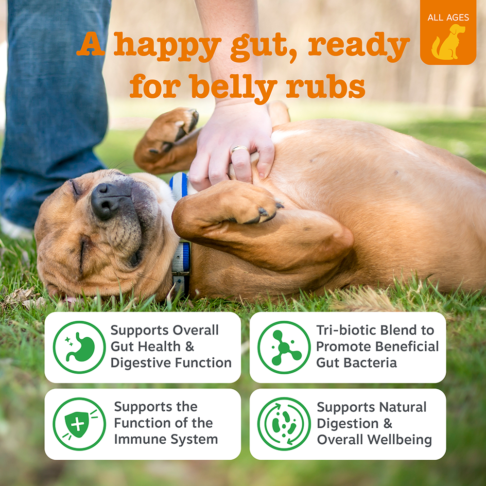 (Enhanced Range) Pre, Post & Probiotic Chews