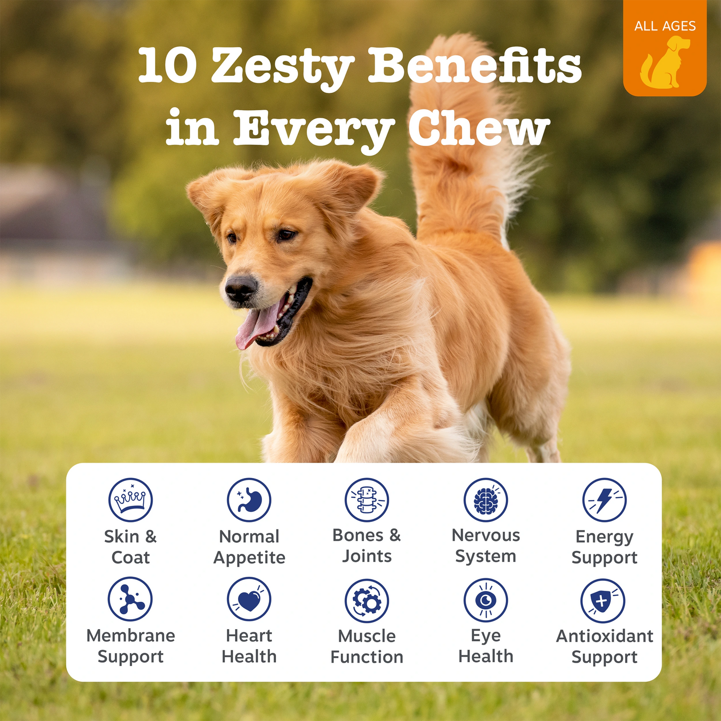 10-in-1 Multivitamin Chews Starter Pack