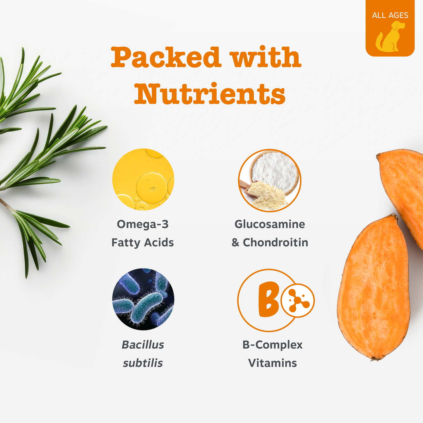 10-in-1 Multivitamin Chews Starter Pack