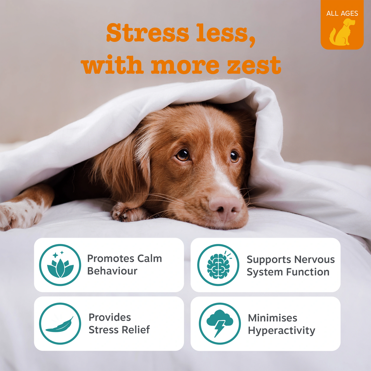 Calming Chews Stater Pack