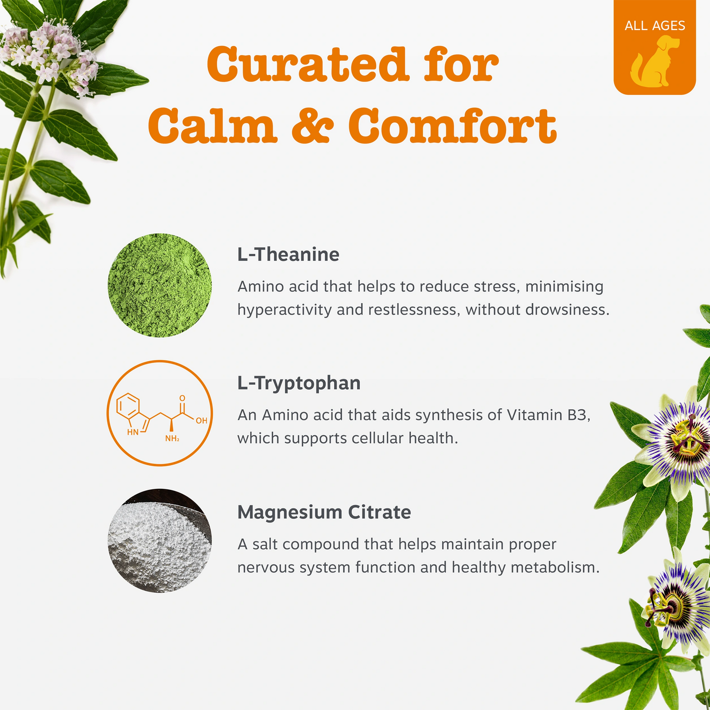 Calming Chews Stater Pack