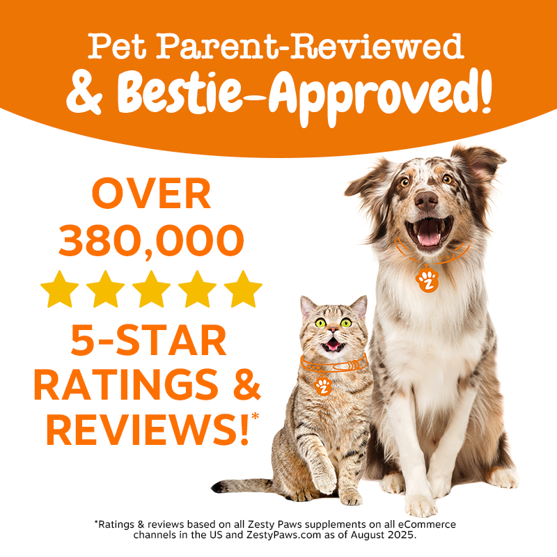 Zesty Paws Omega Boost Salmon Oil Blend 250ML (3× more Salmon Oil)