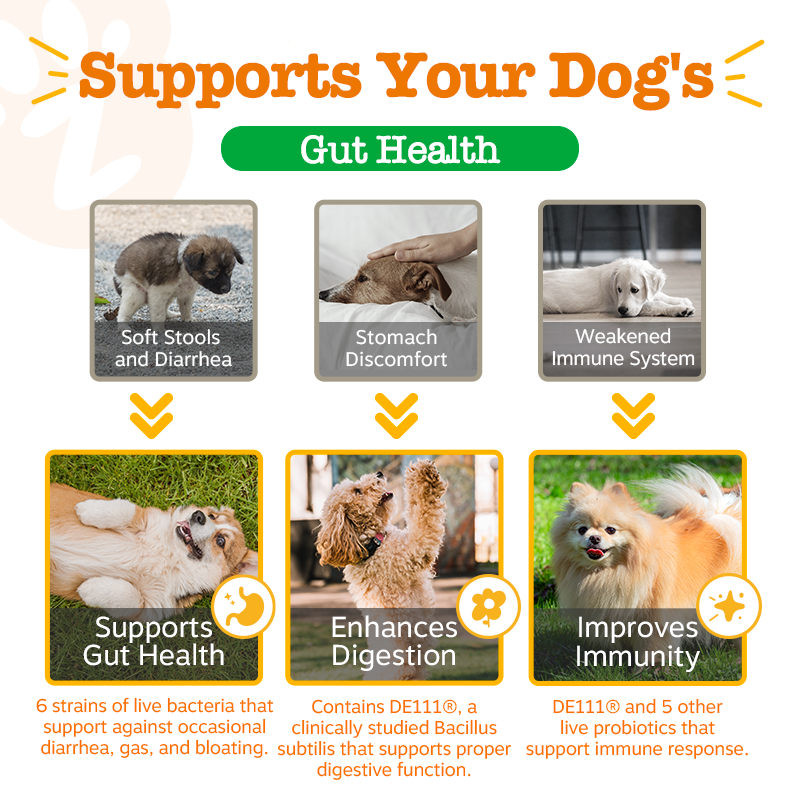 Pawfect Wellness Omega Boost Bundle