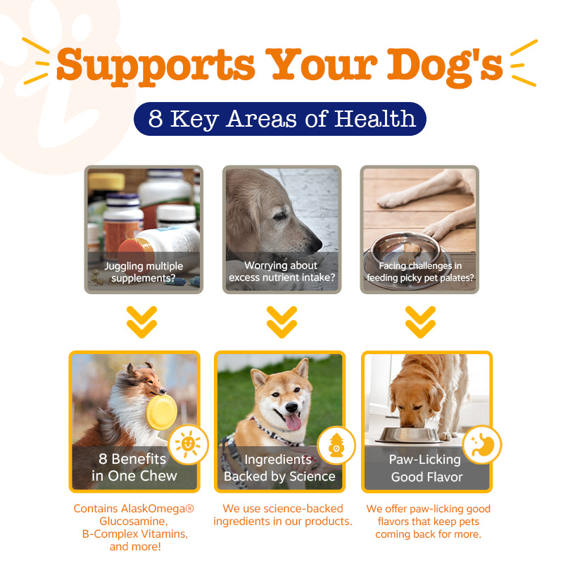 Pawfect Wellness Bundle